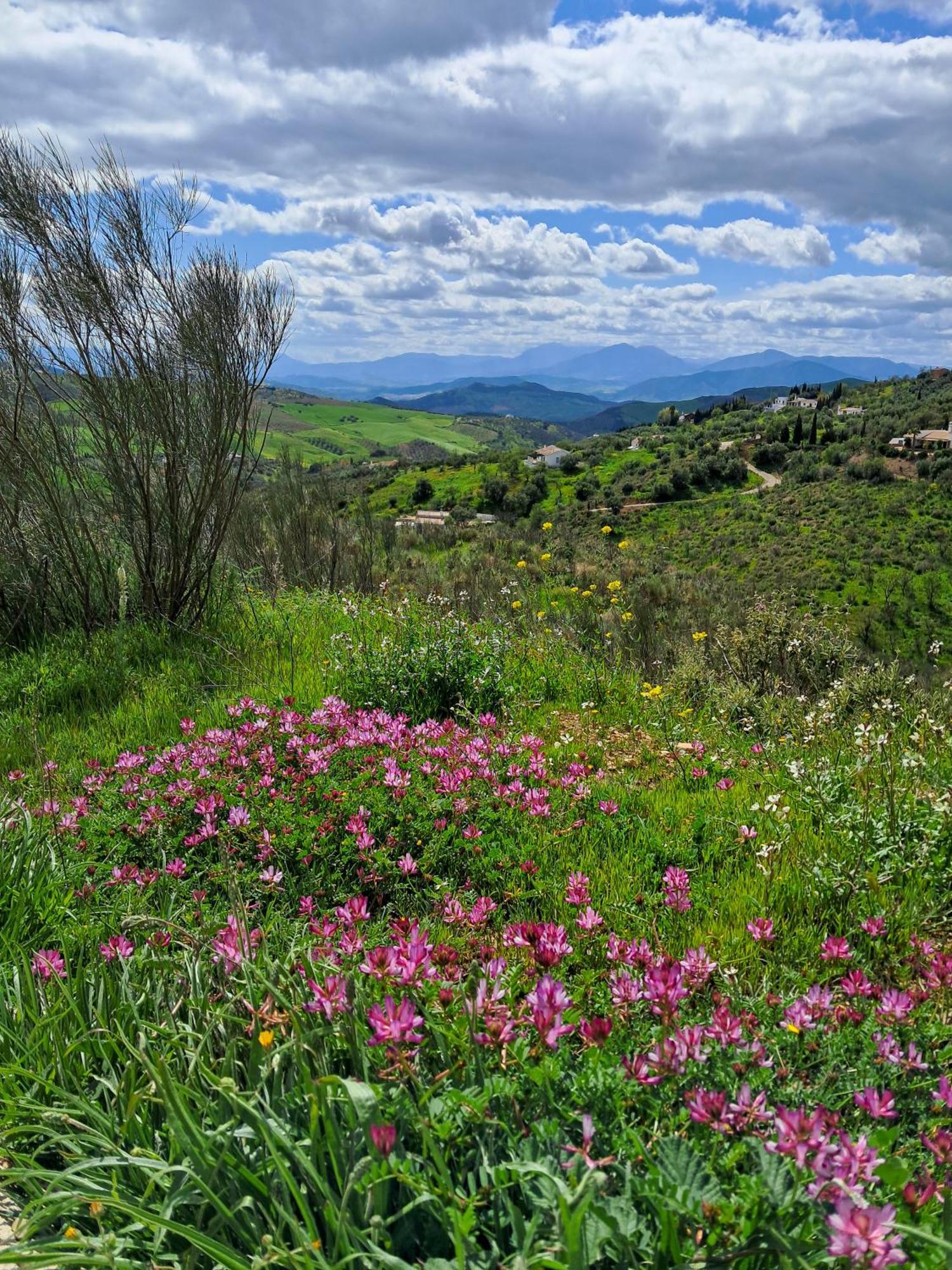 Finca Amorosa Villanueva de la Concepción Exteriér fotografie